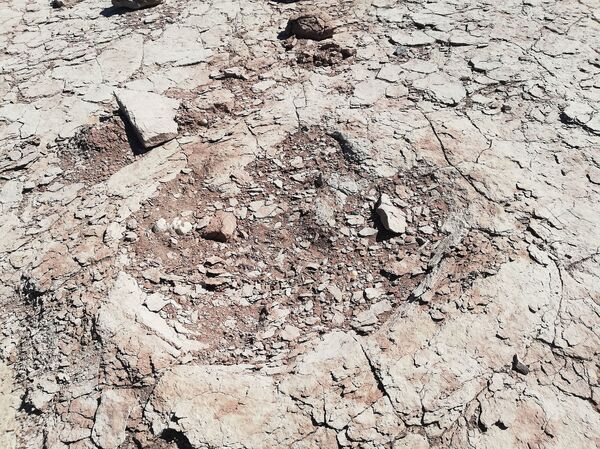 Impressionantes pegadas de dinossauro bípede são encontradas na Patagônia (FOTO, VÍDEO) Impressionantes pegadas de dinossauro bípede são encontradas na Patagônia (FOTO, VÍDEO) - Sputnik Brasil