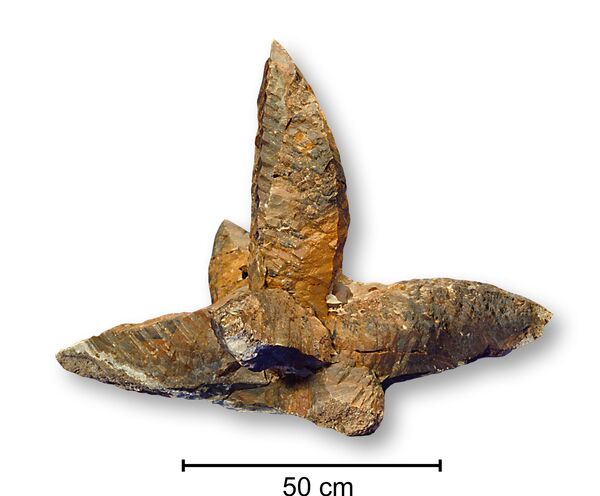 Explicada existência de cristais únicos com mais de 50 milhões de anos na Dinamarca (FOTOS) - Sputnik Brasil