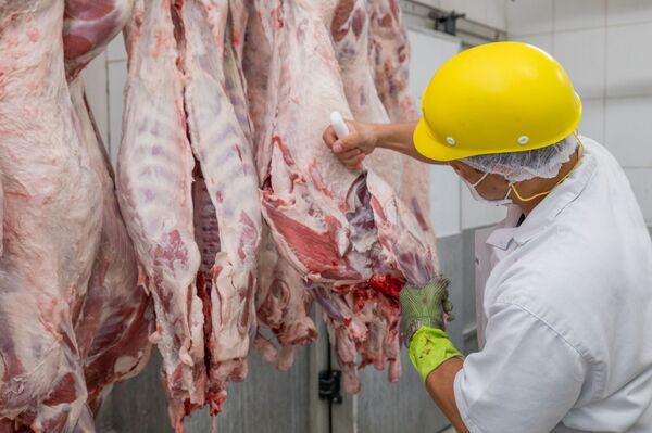 'Empresários mostram confiança com a recuperação da indústria brasileira', diz economista - Sputnik Brasil