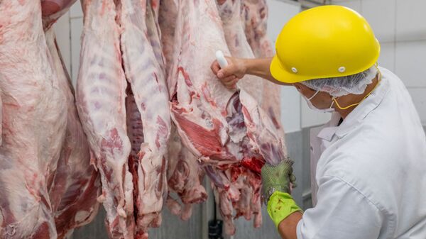 Funcionários trabalham no corte e processamento de carnes em frigorífico na cidade de Pirassununga - Sputnik Brasil