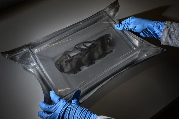 Mudanças climáticas derretem gelo nos Alpes e revelam tesouros milenares (FOTOS) - Sputnik Brasil