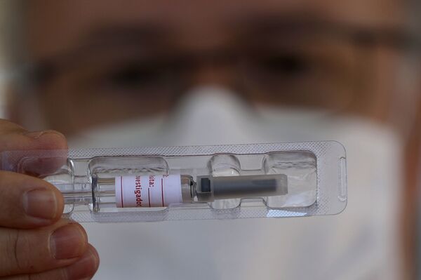 Manhã com Sputnik Brasil: destaques desta quarta-feira, 21 de outubro - Sputnik Brasil