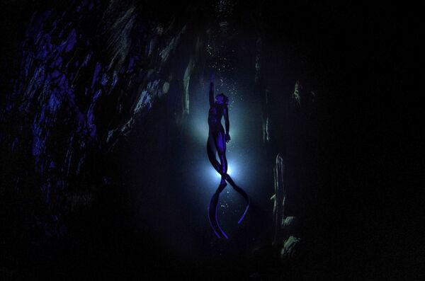 Concurso de fotografia Stenin anuncia os vencedores de 2020 - Sputnik Brasil