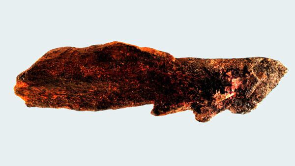 Ponta dentada feita pelo Homo erectus há mais de 800 mil anos - Sputnik Brasil
