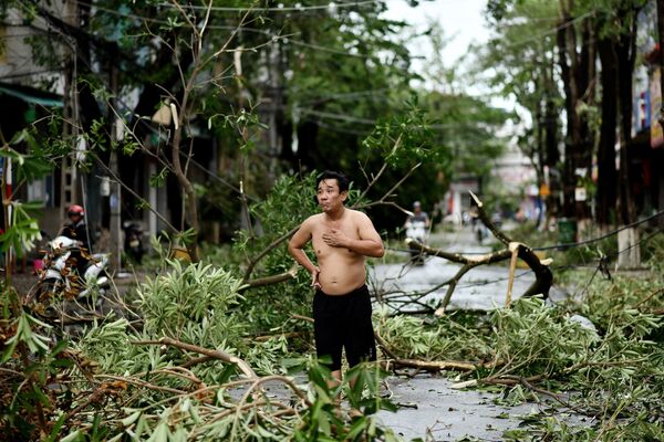 Homem em pé em meio a galhos de árvore derrubados durante ação do tufão Molave no Vietnã - Sputnik Brasil