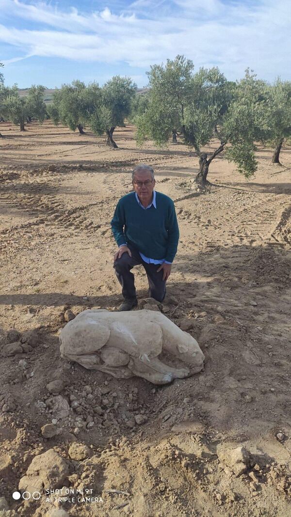 Espanhol se surpreende ao encontrar estátua de leoa de 2.500 anos (FOTOS) - Sputnik Brasil