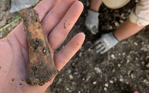 Objetos arqueológicos encontrados em Maryland, EUA - Sputnik Brasil