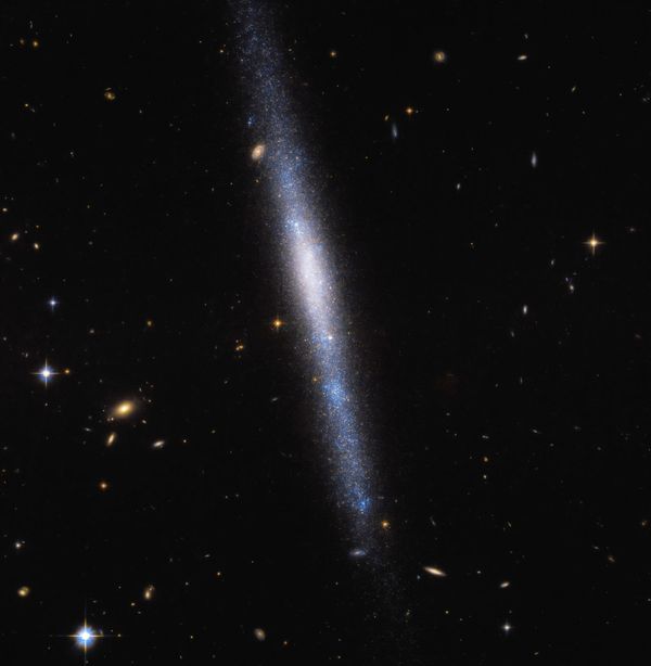 'Cachoeira de estrelas': Hubble captura bela FOTO de galáxia a 32 milhões de anos-luz 'Cachoeira de estrelas': Hubble captura bela FOTO de galáxia a 32 milhões de anos-luz - Sputnik Brasil
