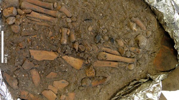 Sepultura com criança de 8.000 anos enterrada em cerimônia é encontrada por arqueólogos (FOTOS) Sepultura com criança de 8.000 anos enterrada em cerimônia é encontrada por arqueólogos (FOTOS) - Sputnik Brasil