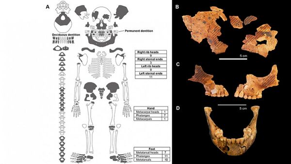 Sepultura com criança de 8.000 anos enterrada em cerimônia é encontrada por arqueólogos (FOTOS) Sepultura com criança de 8.000 anos enterrada em cerimônia é encontrada por arqueólogos (FOTOS) - Sputnik Brasil