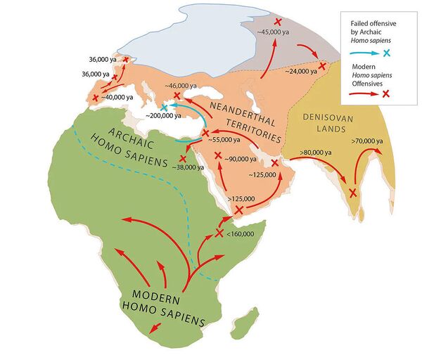 Homo sapiens levaram 100 mil anos para substituir neandertais, diz especialista - Sputnik Brasil