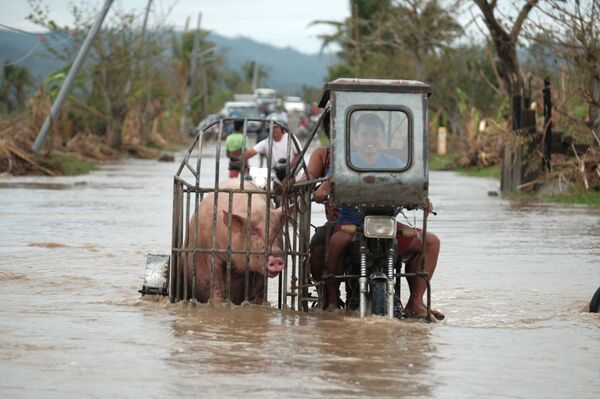 Terremoto atinge ilha das Filipinas - Sputnik Brasil