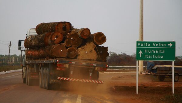 Caminhão com toras de madeira é visto na BR-230 em Humaitá (AM). Humaitá é uma das cidades do Amazonas que está em estado de emergência devido aos desmatamentos e queimadas - Sputnik Brasil