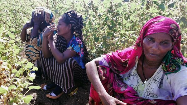 Mulheres etíopes, que fugiram dos combates em curso na região de Tigray, no campo de refugiados de al-Fashqa, na fronteira entre o Sudão e a Etiópia. - Sputnik Brasil