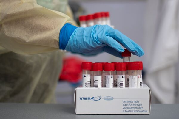 Manhã com Sputnik Brasil: destaques desta segunda-feira, 23 de novembro - Sputnik Brasil