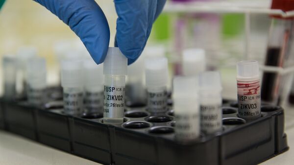 Pesquisador do Instituto de Ciências Biomédicas da Universidade de São Paulo (ICB-USP) manipula amostras de sangue contaminado pelo vírus da zika - Sputnik Brasil