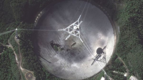 Observatório de Arecibo, Puerto Rico Observatório de Arecibo, Puerto Rico - Sputnik Brasil