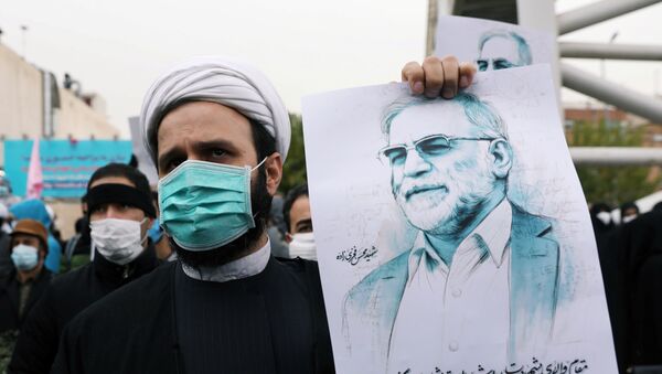 Um manifestante segura uma imagem de Mohsen Fakhrizadeh, um importante cientista nuclear do Irão, durante um protesto contra o seu assassinato - Sputnik Brasil