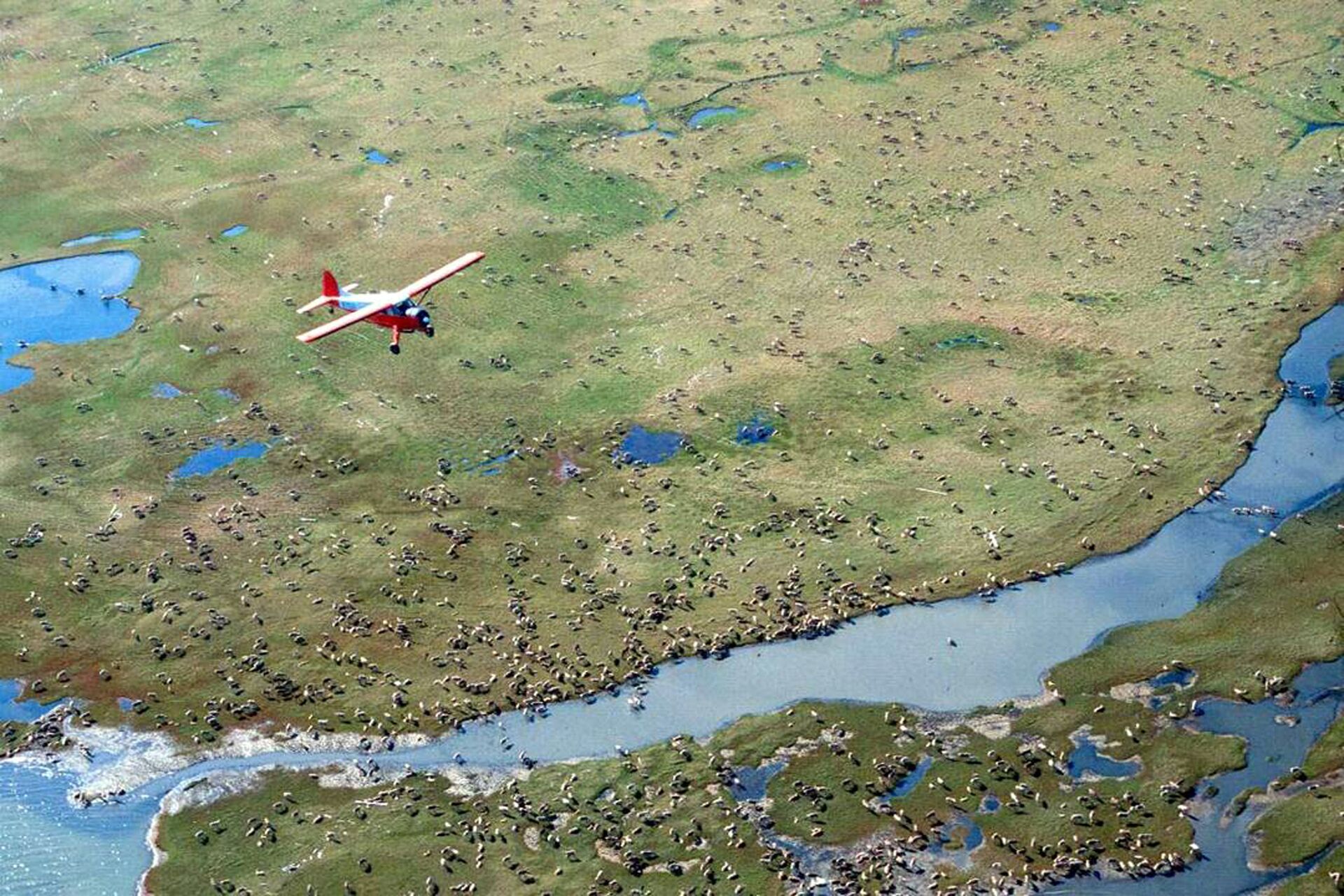 Vista aérea do Refúgio Nacional da Vida Selvagem do Ártico (ANWR) - Sputnik Brasil, 1920, 09.11.2021