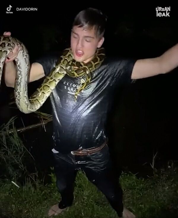 Jovem posta vídeos em redes sociais sendo picado por cobras e mostrando que não são tão perigosas - Sputnik Brasil
