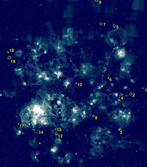 Vestígios de antigas supernovas são avistadas na Grande Nuvem de Magalhães (FOTO) Vestígios de antigas supernovas são avistadas na Grande Nuvem de Magalhães (FOTO) - Sputnik Brasil