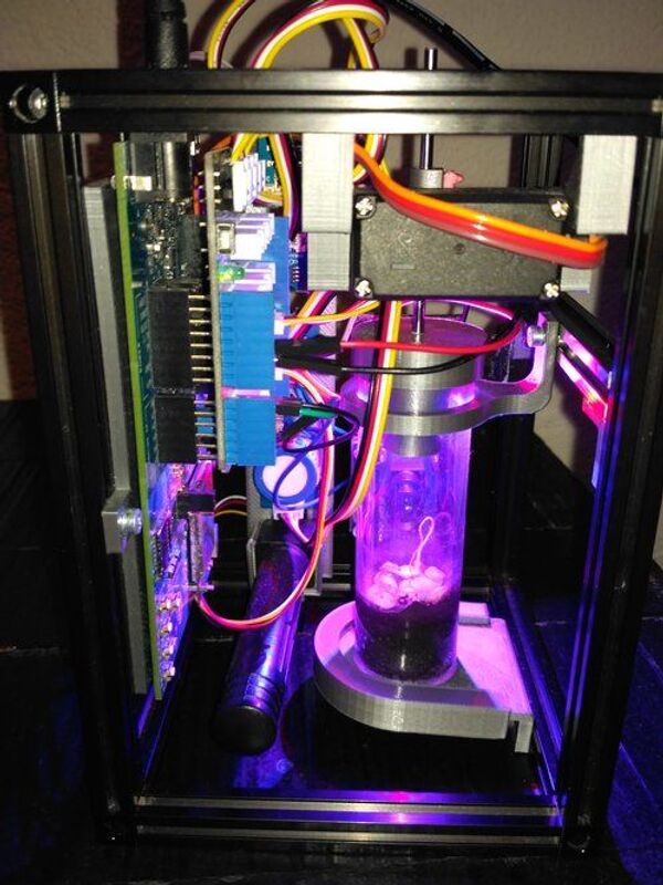 Cultivo de tomates na Lua ou em Marte: projeto espanhol visa sustentar futuros colonos espaciais - Sputnik Brasil