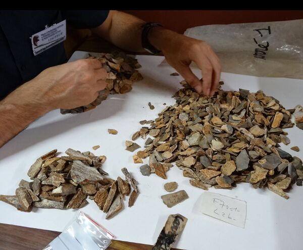 Restos de criança revelam ritual funerário dos neandertais (FOTO) Restos de criança revelam ritual funerário dos neandertais (FOTO) - Sputnik Brasil