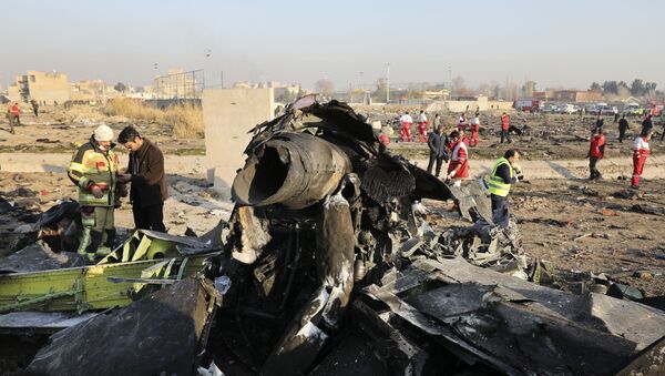 Destroços do avião ucraniano Boeing 737-800 UR-PSR que caiu em 8 de janeiro de 2020, nos arredores de Teerã, Irã - Sputnik Brasil