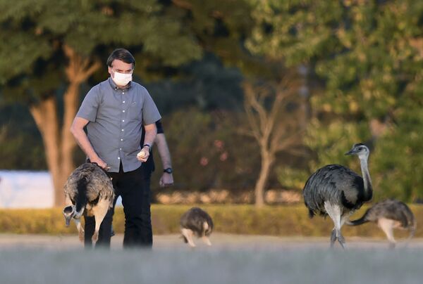 Apesar da derrota, 'é difícil para o Bolsonaro abandonar Donald Trump', afirma cientista político - Sputnik Brasil