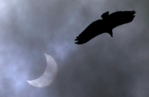 Manhã com Sputnik Brasil: destaques desta terça-feira, 15 de dezembro Manhã com Sputnik Brasil: destaques desta terça-feira, 15 de dezembro - Sputnik Brasil