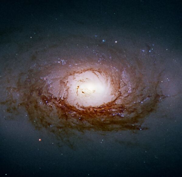 Galáxia espiral NGC 3626 com bojo galáctico, isto é, uma região densamente povoada de estrelas que engloba o coração de uma galáxia espiral. A maioria dos bojos galácticos hospedam buracos negros supermassivos - Sputnik Brasil