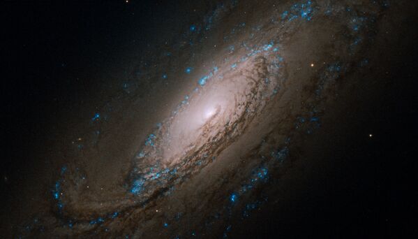Galáxia NGC 5005 na constelação de Canes Venatici - Sputnik Brasil