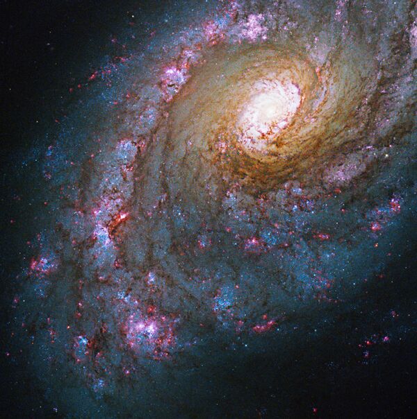 Caldwell 45 (ou NGC 5248) é uma galáxia espiral localizada na constelação de Bootes, sendo notável pela estrutura anelar em torno de seu núcleo. Estes anéis nucleares caracterizam-se por pontos quentes de formação de estrelas, onde as estrelas se formam mais frequentemente do que o normal - Sputnik Brasil