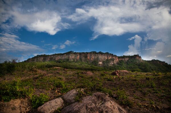 Ubirajara jubatus: 'Devolvam o fóssil ao Brasil', pede diretor do Museu Nacional  - Sputnik Brasil