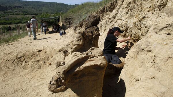 Grupo de paleontólogos trabalham escavando fósseis - Sputnik Brasil