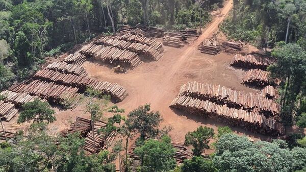 Em 2020,, outra grande operação da PF foi mirando apreensão de madeira ilegal foi realizada e ficou conhecida como a maior apreensão de madeira da história do Brasil, divisa do Pará com Amazonas, 21 de dezembro de 2020 - Sputnik Brasil