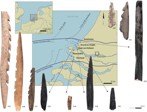 Flechas da Idade da Pedra feitas com ossos humanos e pontas farpadas são achadas na Holanda (FOTOS) - Sputnik Brasil