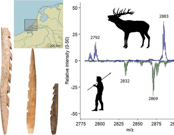 Flechas da Idade da Pedra feitas com ossos humanos e pontas farpadas são achadas na Holanda (FOTOS) - Sputnik Brasil