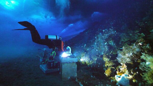 Misteriosa fonte de sinal ultrassônico na Antártica é identificada por especialistas - Sputnik Brasil