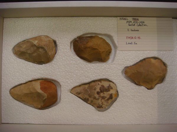 Pequena pedra de 350 mil anos revela evolução cognitiva humana (FOTOS) Pequena pedra de 350 mil anos revela evolução cognitiva humana (FOTOS) - Sputnik Brasil