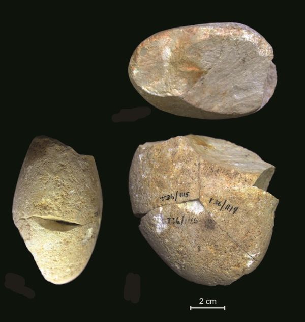 Pequena pedra de 350 mil anos revela evolução cognitiva humana (FOTOS) Pequena pedra de 350 mil anos revela evolução cognitiva humana (FOTOS) - Sputnik Brasil