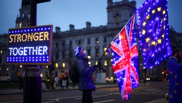 Manifestante contrário ao Brexit segura bandeiras enquanto protesta em frente às Casas do Parlamento em Londres, Reino Unido, 9 de dezembro de 2020 - Sputnik Brasil