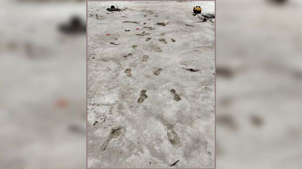 O que o passado conta sobre nós? As 10 maiores descobertas de 2020 relacionadas a nossos ancestrais - Sputnik Brasil