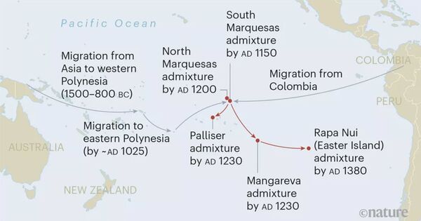 O que o passado conta sobre nós? As 10 maiores descobertas de 2020 relacionadas a nossos ancestrais - Sputnik Brasil