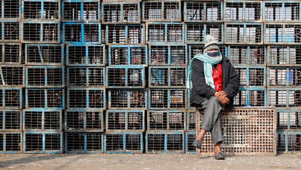 Vendedor usa máscara protetora ao lado de gaiolas de aves em mercado popular em Nova Deli, Índia, 11 de janeiro de 2021 - Sputnik Brasil