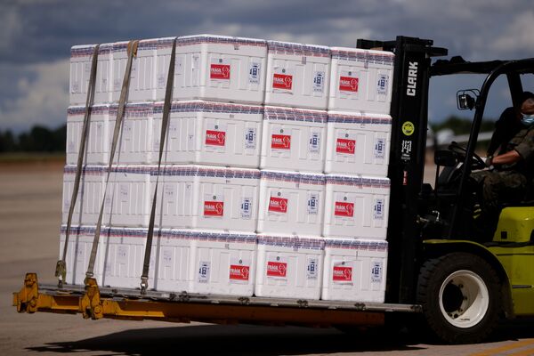 Vacinação em massa no Brasil: 'Nossa situação atual é de dependência', diz especialista Vacinação em massa no Brasil: 'Nossa situação atual é de dependência', diz especialista - Sputnik Brasil