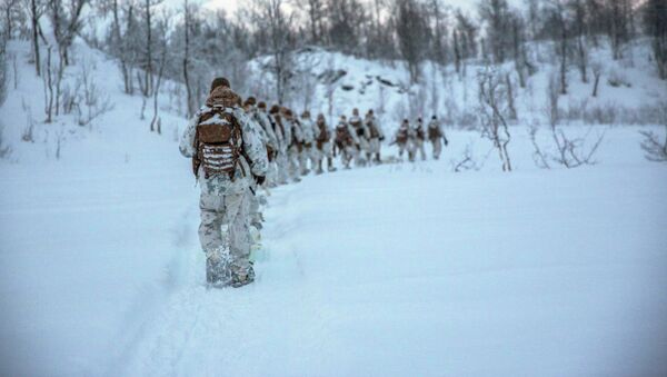 Fuzileiros navais dos EUA durante exercícios na Noruega (foto de arquivo) - Sputnik Brasil