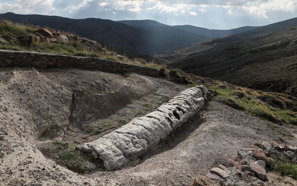 Um detalhe de árvore fossilizada no Parque Nacional da Floresta Petrificada na ilha de Lesbos, Grécia - Sputnik Brasil