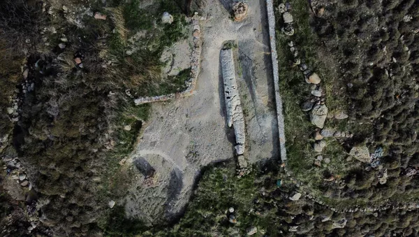 Árvore fossilizada no Parque Nacional da Floresta Petrificada na ilha de Lesbos, Grécia - Sputnik Brasil