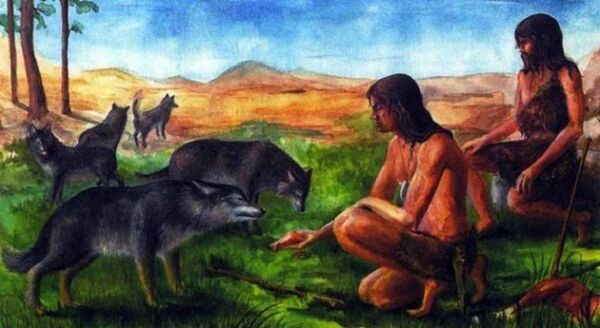 Estudo sugere: primeiros homens a se instalar nas Américas viajaram da Sibéria levando seus cães - Sputnik Brasil